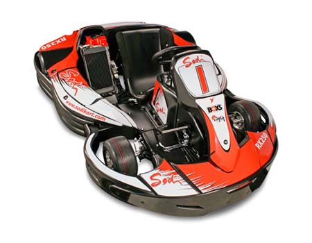 RX250 Go Kart